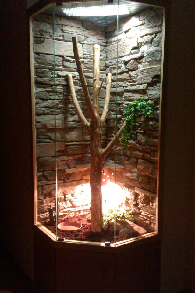 538920_504094702981937_264742423_n