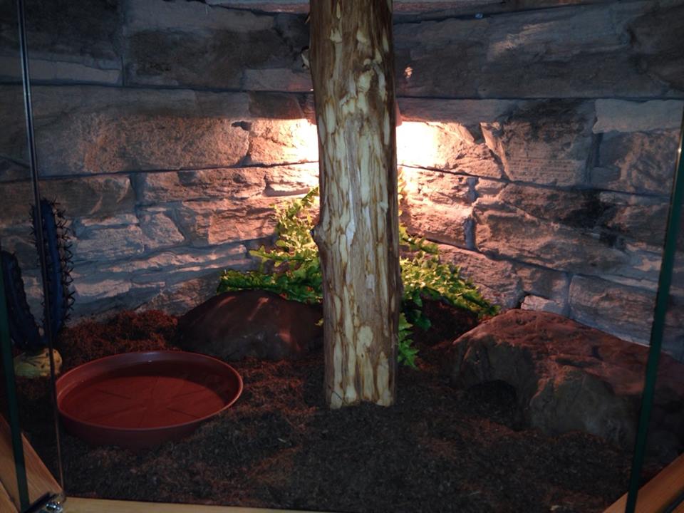 1489274_631669113557828_1932806607_n